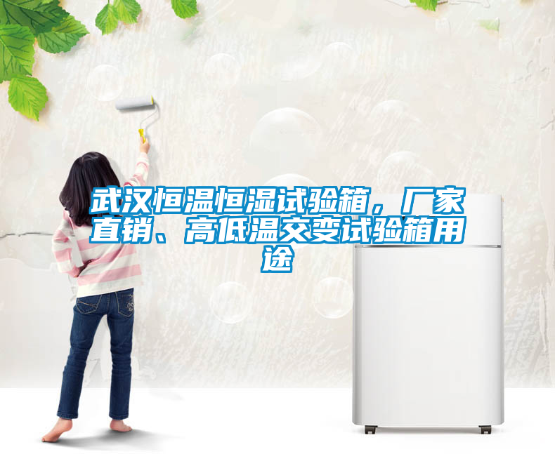 武漢恒溫恒濕試驗(yàn)箱，廠家直銷、高低溫交變?cè)囼?yàn)箱用途