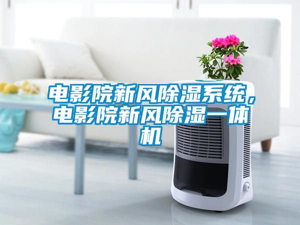 電影院新風(fēng)除濕系統(tǒng)，電影院新風(fēng)除濕一體機(jī)