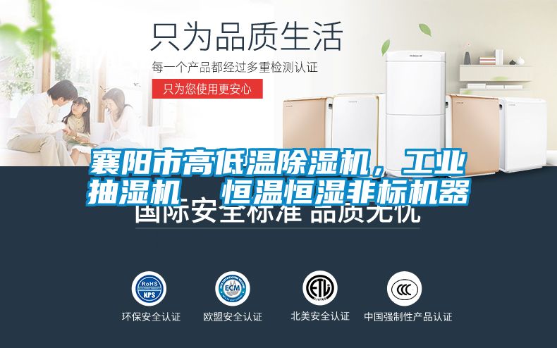 襄陽市高低溫除濕機，工業(yè)抽濕機  恒溫恒濕非標機器