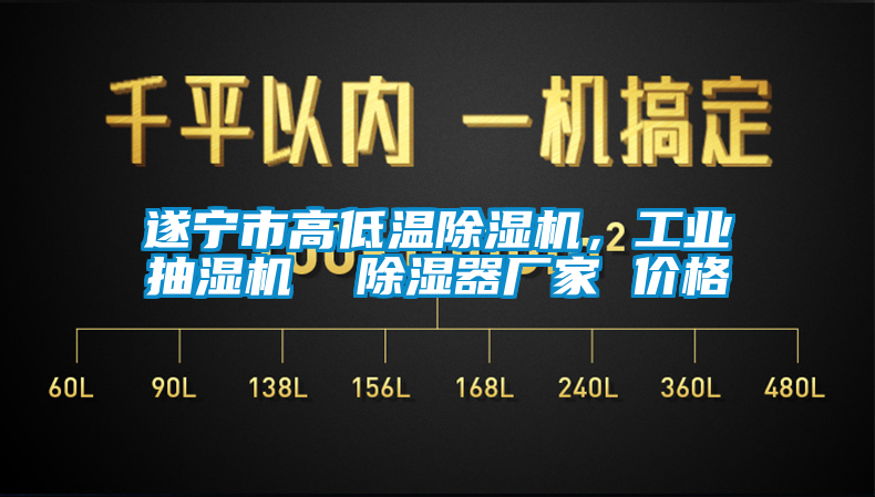 遂寧市高低溫除濕機，工業(yè)抽濕機  除濕器廠家 價格