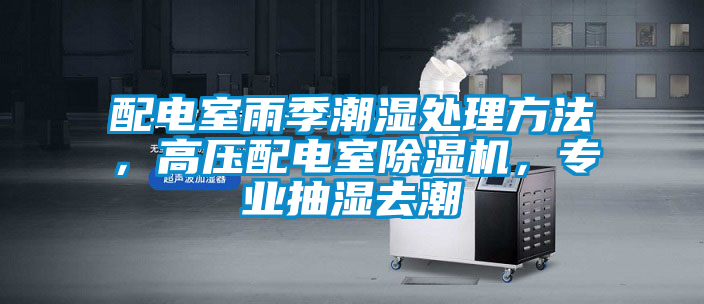 配電室雨季潮濕處理方法，高壓配電室除濕機(jī)，專業(yè)抽濕去潮