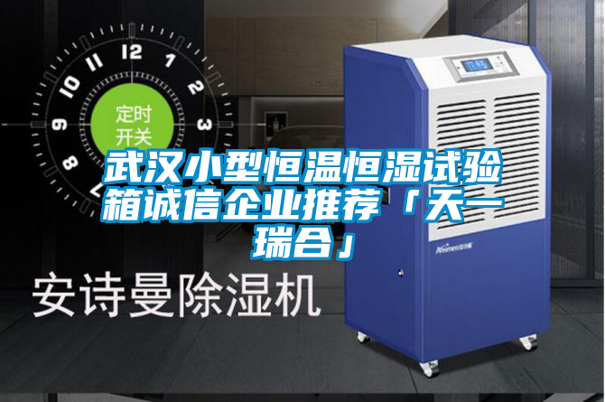 武漢小型恒溫恒濕試驗(yàn)箱誠信企業(yè)推薦「天一瑞合」