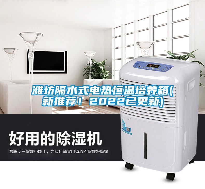 濰坊隔水式電熱恒溫培養(yǎng)箱(新推薦！2022已更新)