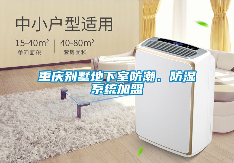 重慶別墅地下室防潮、防濕系統(tǒng)加盟