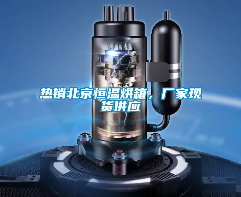 熱銷北京恒溫烘箱，廠家現(xiàn)貨供應(yīng)