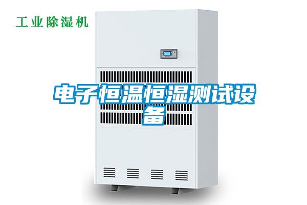 電子恒溫恒濕測試設(shè)備
