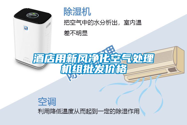 酒店用新風(fēng)凈化空氣處理機(jī)組批發(fā)價格