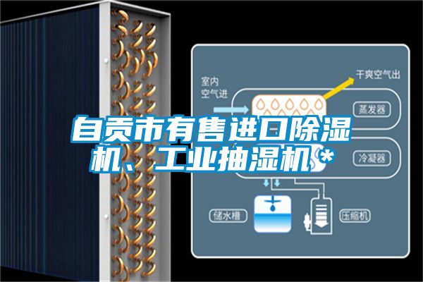 自貢市有售進(jìn)口除濕機(jī)、工業(yè)抽濕機(jī)＊