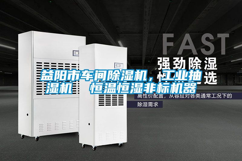 益陽(yáng)市車(chē)間除濕機(jī)，工業(yè)抽濕機(jī)  恒溫恒濕非標(biāo)機(jī)器