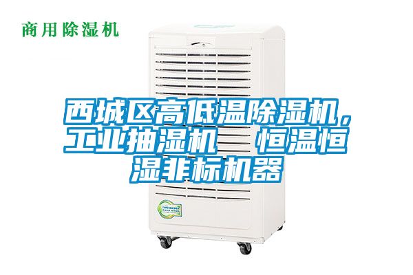 西城區(qū)高低溫除濕機，工業(yè)抽濕機  恒溫恒濕非標機器