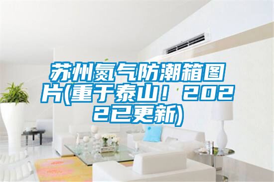 蘇州氮氣防潮箱圖片(重于泰山！2022已更新)