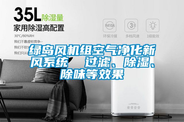綠島風(fēng)機(jī)組空氣凈化新風(fēng)系統(tǒng)  過(guò)濾、除濕、除味等效果