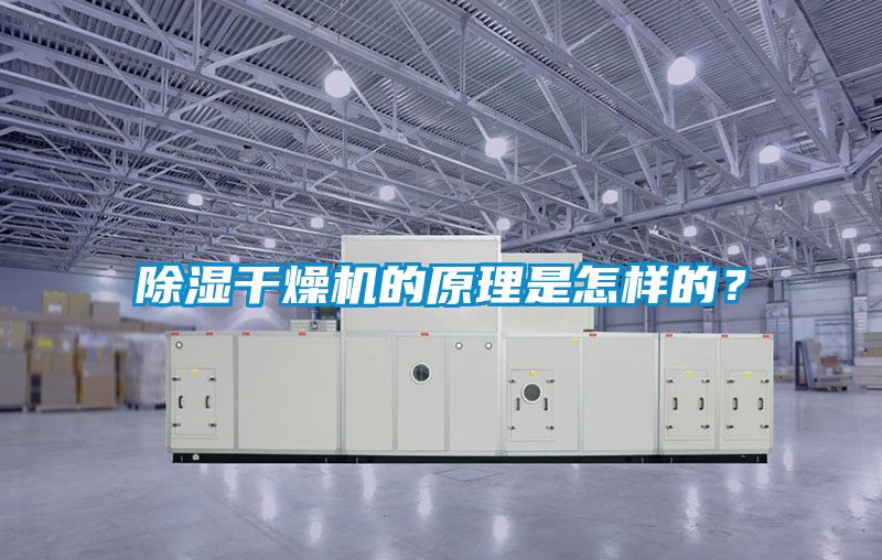 除濕干燥機(jī)的原理是怎樣的？