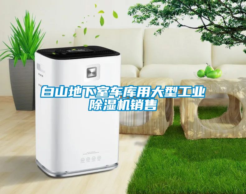 白山地下室車(chē)庫(kù)用大型工業(yè)除濕機(jī)銷(xiāo)售