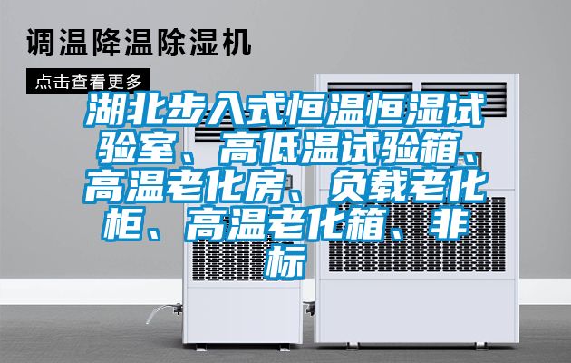 湖北步入式恒溫恒濕試驗室、高低溫試驗箱、高溫老化房、負載老化柜、高溫老化箱、非標