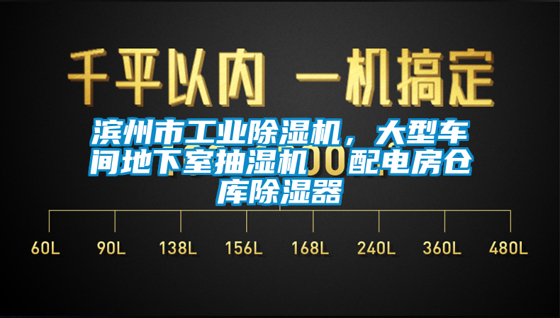 濱州市工業(yè)除濕機(jī)，大型車(chē)間地下室抽濕機(jī)  配電房倉(cāng)庫(kù)除濕器