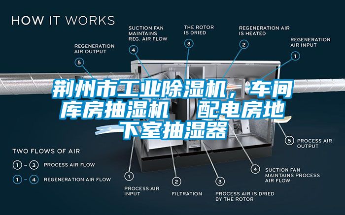 荊州市工業(yè)除濕機，車間庫房抽濕機  配電房地下室抽濕器