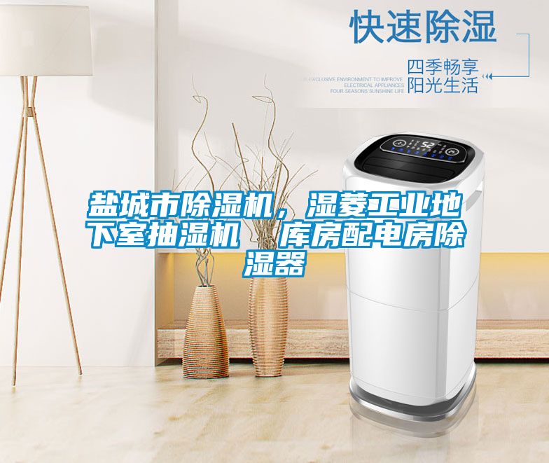 鹽城市除濕機(jī)，濕菱工業(yè)地下室抽濕機(jī)  庫(kù)房配電房除濕器