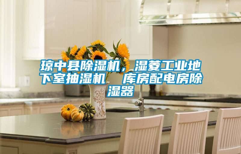 瓊中縣除濕機(jī)，濕菱工業(yè)地下室抽濕機(jī)  庫(kù)房配電房除濕器