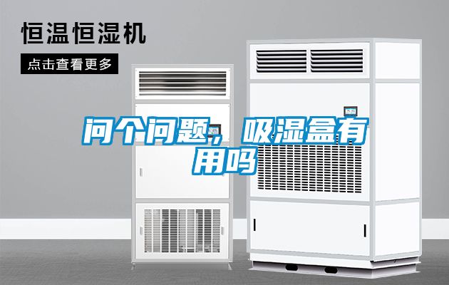 問個問題，吸濕盒有用嗎