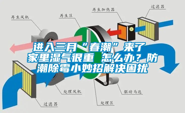 進(jìn)入三月“春潮”來(lái)了 家里濕氣很重 怎么辦？防潮除霉小妙招解決困擾