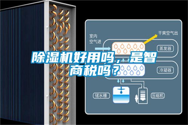 除濕機(jī)好用嗎，是智商稅嗎？