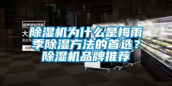 除濕機(jī)為什么是梅雨季除濕方法的首選？除濕機(jī)品牌推薦