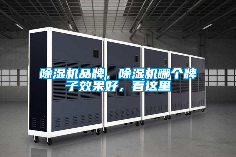 除濕機(jī)品牌，除濕機(jī)哪個(gè)牌子效果好，看這里