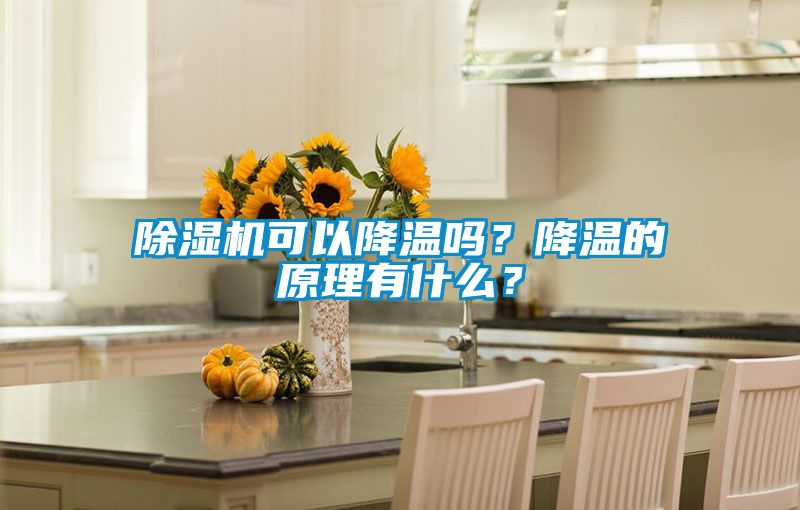 除濕機(jī)可以降溫嗎？降溫的原理有什么？