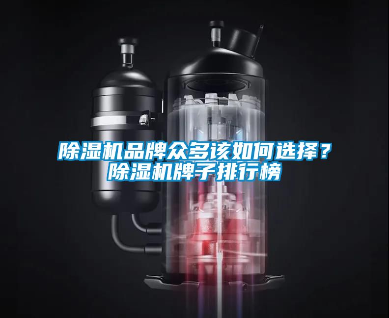 除濕機(jī)品牌眾多該如何選擇？除濕機(jī)牌子排行榜