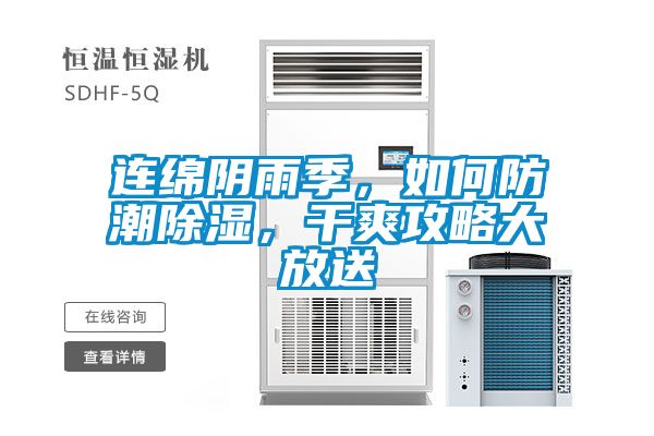 連綿陰雨季，如何防潮除濕，干爽攻略大放送