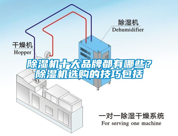 除濕機十大品牌都有哪些？除濕機選購的技巧包括