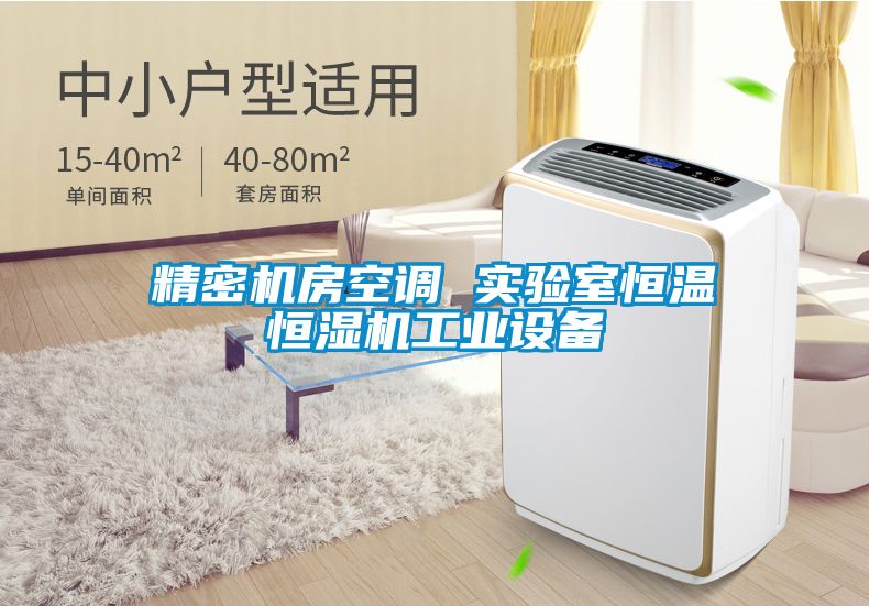 精密機(jī)房空調(diào) 實驗室恒溫恒濕機(jī)工業(yè)設(shè)備