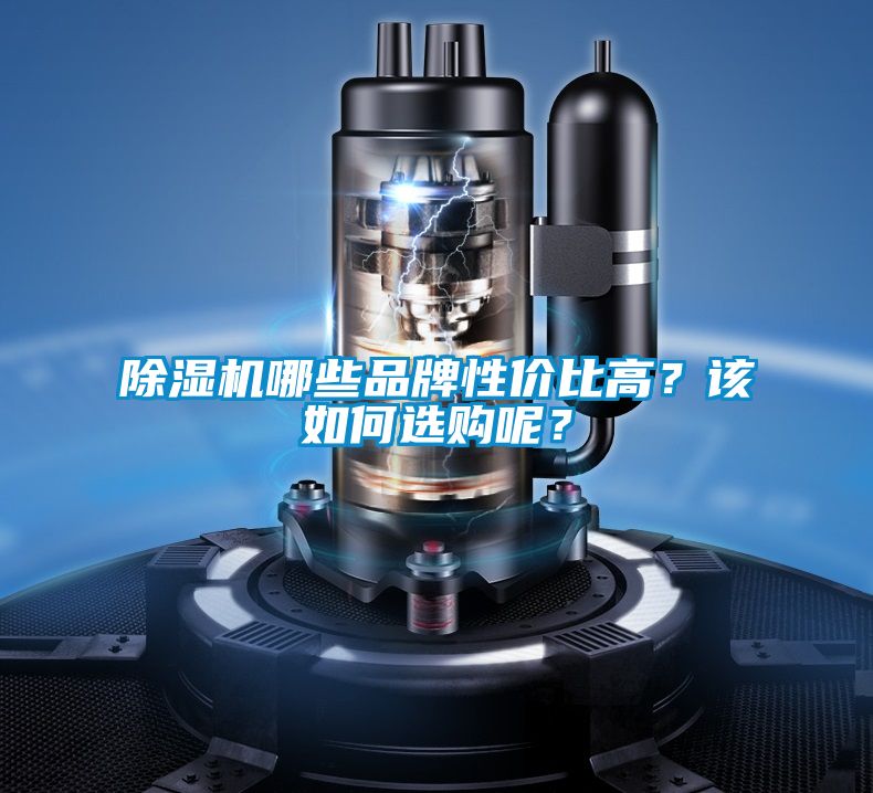 除濕機哪些品牌性價比高？該如何選購呢？