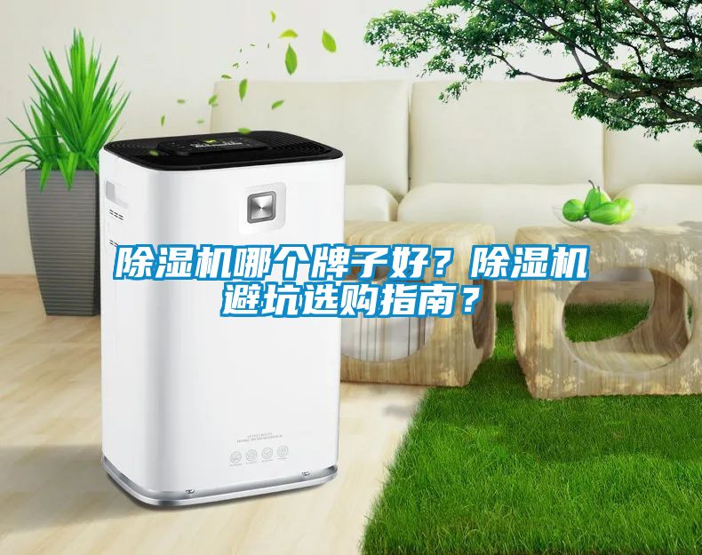 除濕機(jī)哪個(gè)牌子好？除濕機(jī)避坑選購(gòu)指南？