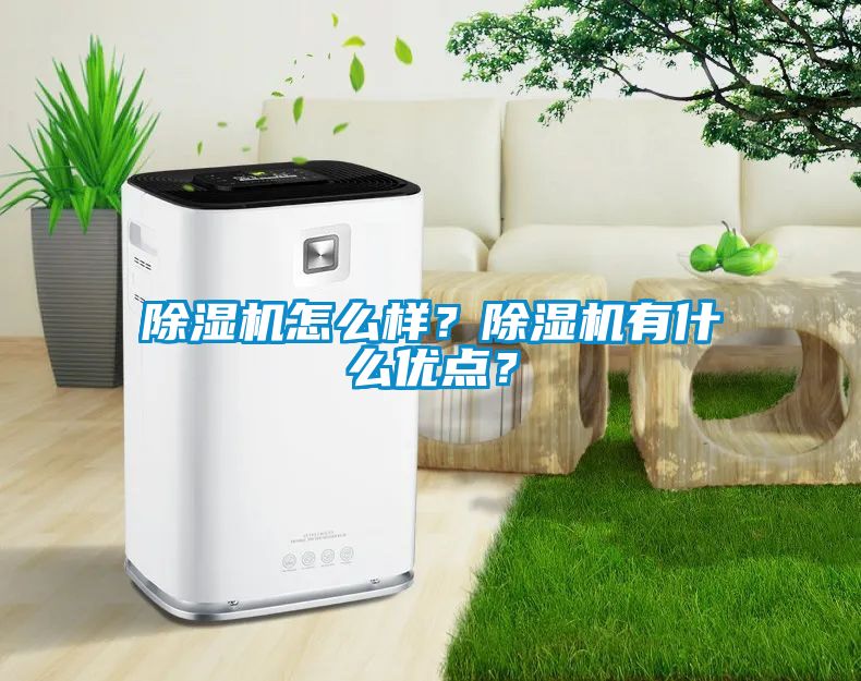 除濕機(jī)怎么樣？除濕機(jī)有什么優(yōu)點(diǎn)？