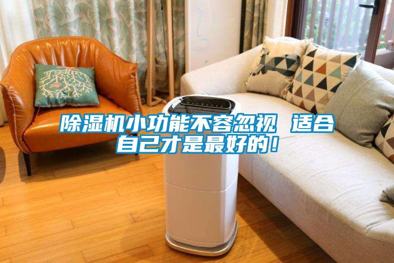 除濕機(jī)小功能不容忽視 適合自己才是最好的！