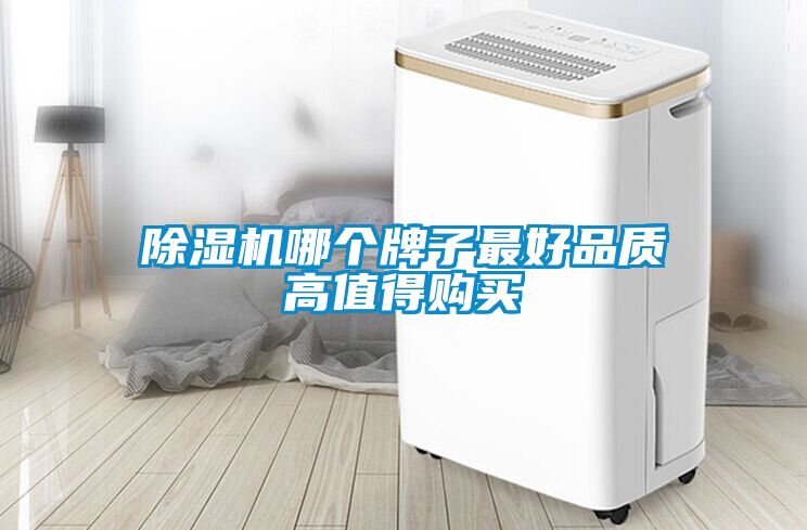 除濕機(jī)哪個(gè)牌子最好品質(zhì)高值得購(gòu)買(mǎi)
