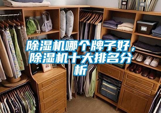 除濕機哪個牌子好，除濕機十大排名分析