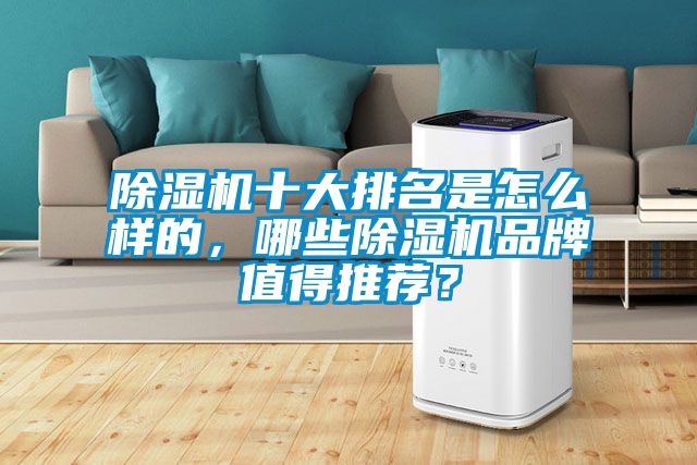 除濕機十大排名是怎么樣的，哪些除濕機品牌值得推薦？