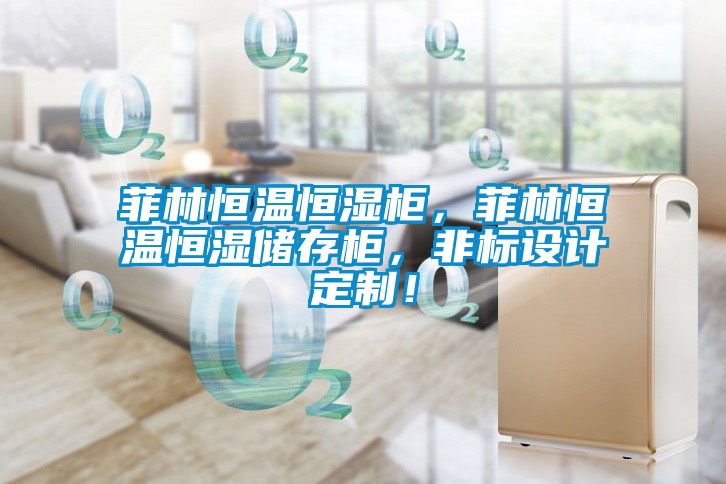 菲林恒溫恒濕柜，菲林恒溫恒濕儲存柜，非標(biāo)設(shè)計定制！