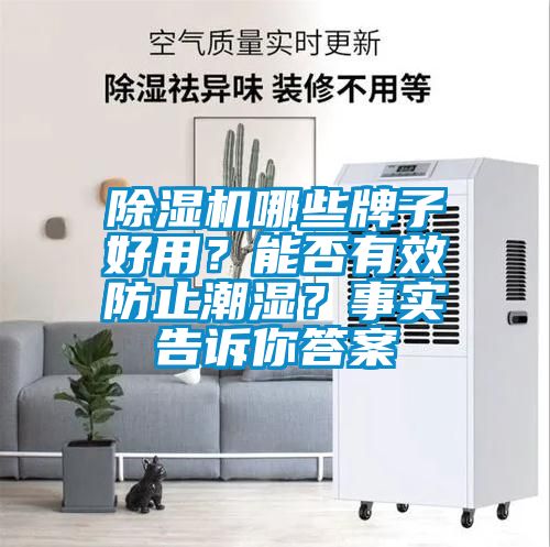 除濕機(jī)哪些牌子好用？能否有效防止潮濕？事實(shí)告訴你答案