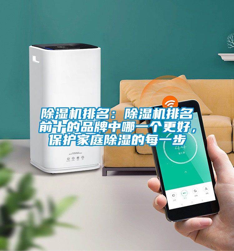 除濕機(jī)排名：除濕機(jī)排名前十的品牌中哪一個(gè)更好，保護(hù)家庭除濕的每一步