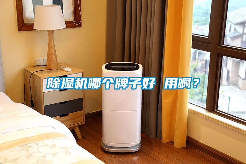 除濕機哪個牌子好 用??？