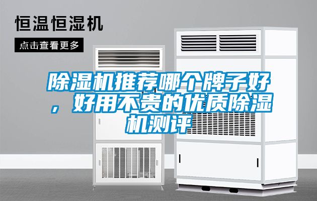 除濕機(jī)推薦哪個(gè)牌子好，好用不貴的優(yōu)質(zhì)除濕機(jī)測(cè)評(píng)