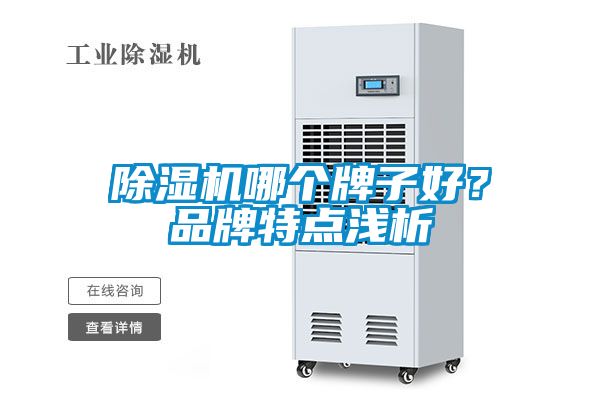 除濕機(jī)哪個(gè)牌子好？品牌特點(diǎn)淺析