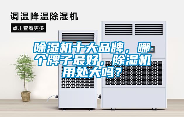 除濕機十大品牌，哪個牌子最好，除濕機用處大嗎？