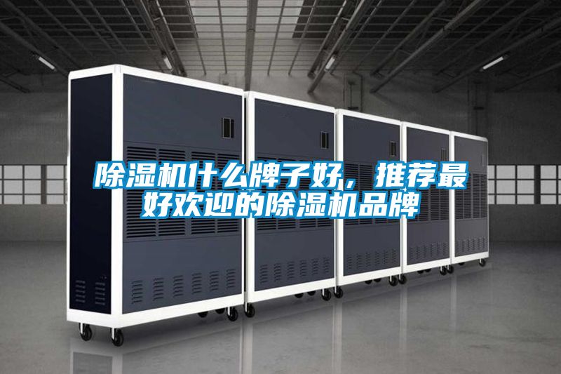 除濕機(jī)什么牌子好，推薦最好歡迎的除濕機(jī)品牌