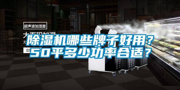 除濕機(jī)哪些牌子好用？50平多少功率合適？