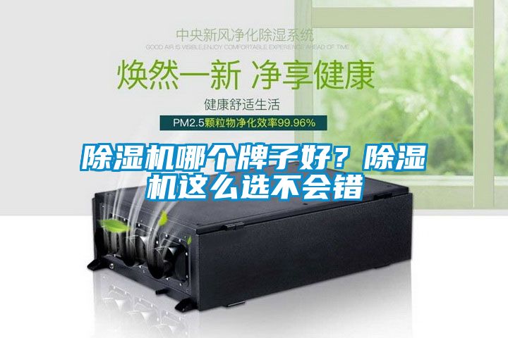 除濕機(jī)哪個(gè)牌子好？除濕機(jī)這么選不會(huì)錯(cuò)